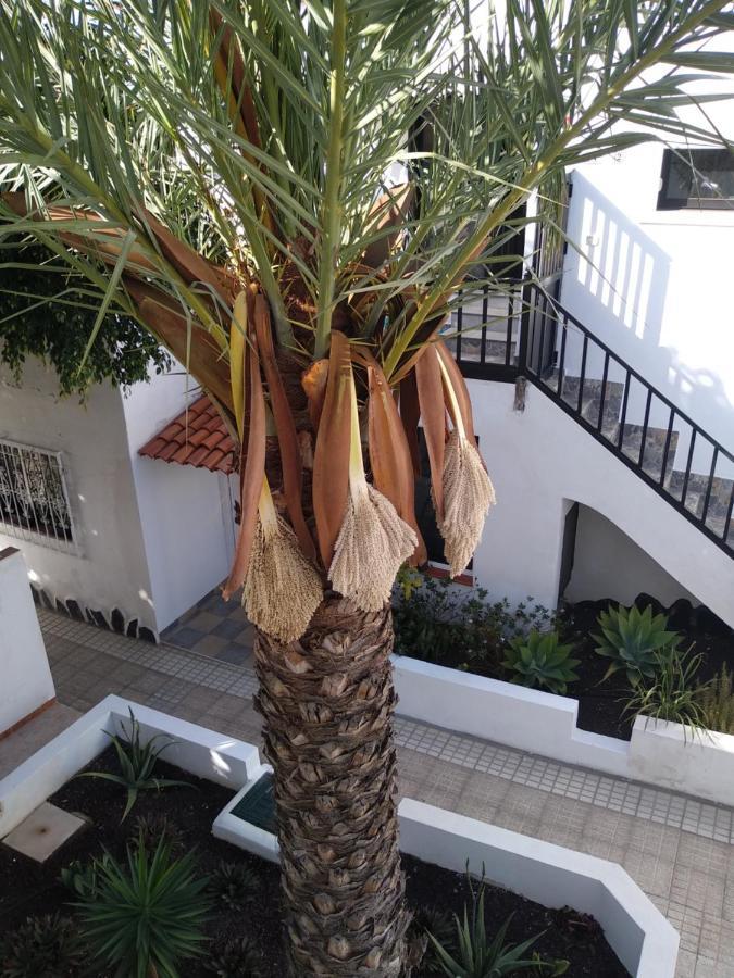 Apartamento con grande terraza y con 4 piscinas Arona  Exterior foto
