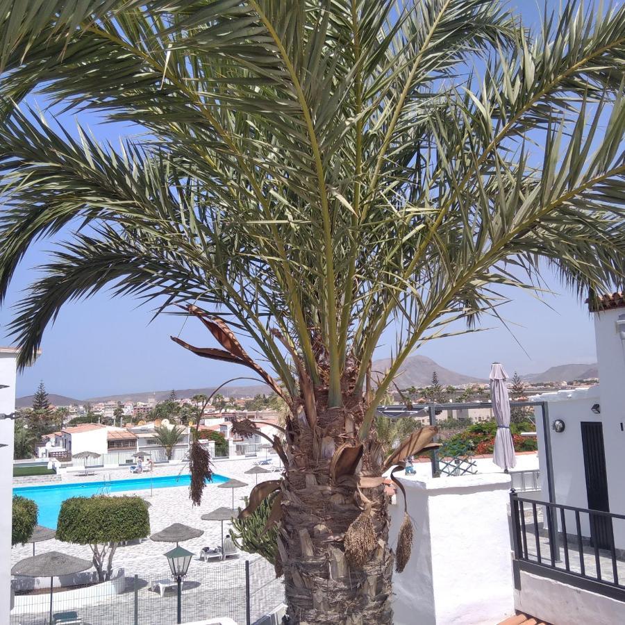 Apartamento con grande terraza y con 4 piscinas Arona  Exterior foto